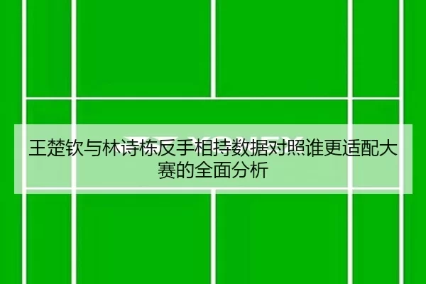 王楚钦与林诗栋反手相持数据对照谁更适配大赛的全面分析